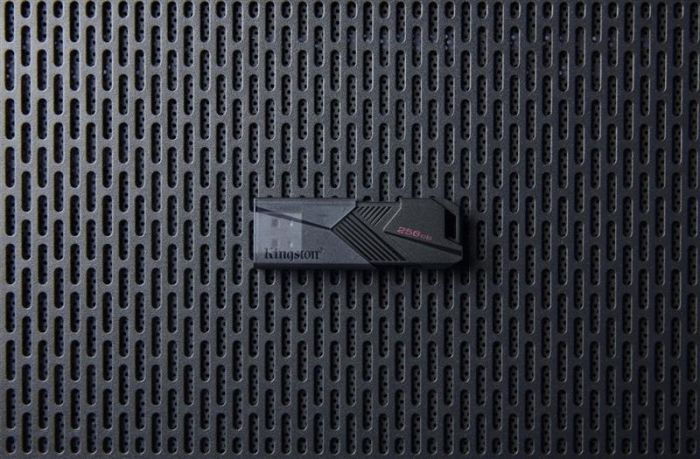 Флеш-накопичувач USB3.2 256GB Kingston DataTraveler Exodia Onyx (DTXON/256GB)