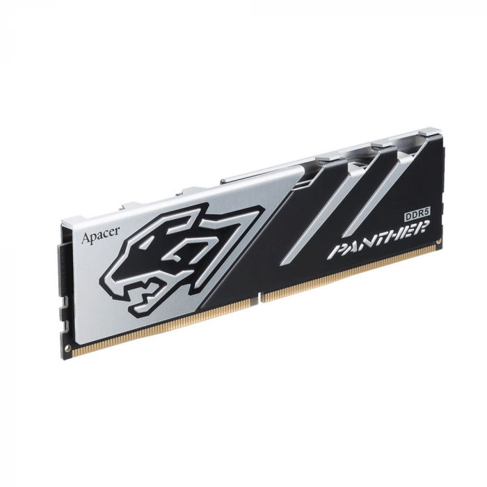 Модуль пам`ятi DDR5 16GB/6000 Apacer Panther (AH5U16G60C5127BAA-1)