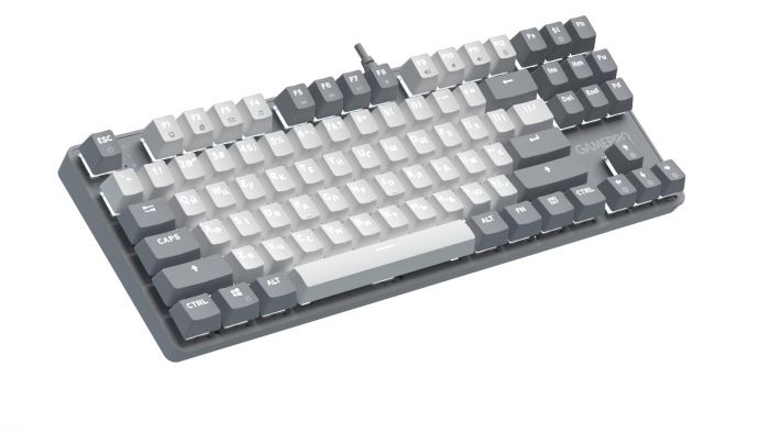 Клавіатура GamePro Genesis Metallic MK110G Outemu Red Swithes USB Gray