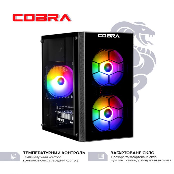 Персональний комп`ютер COBRA Advanced (I114F.16.S10.36.19812)