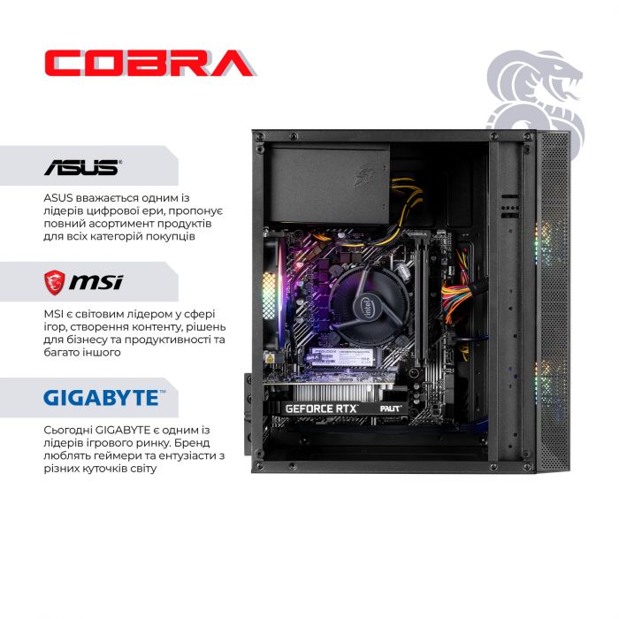 Персональний комп`ютер COBRA Advanced (I114F.16.S10.36.19812)